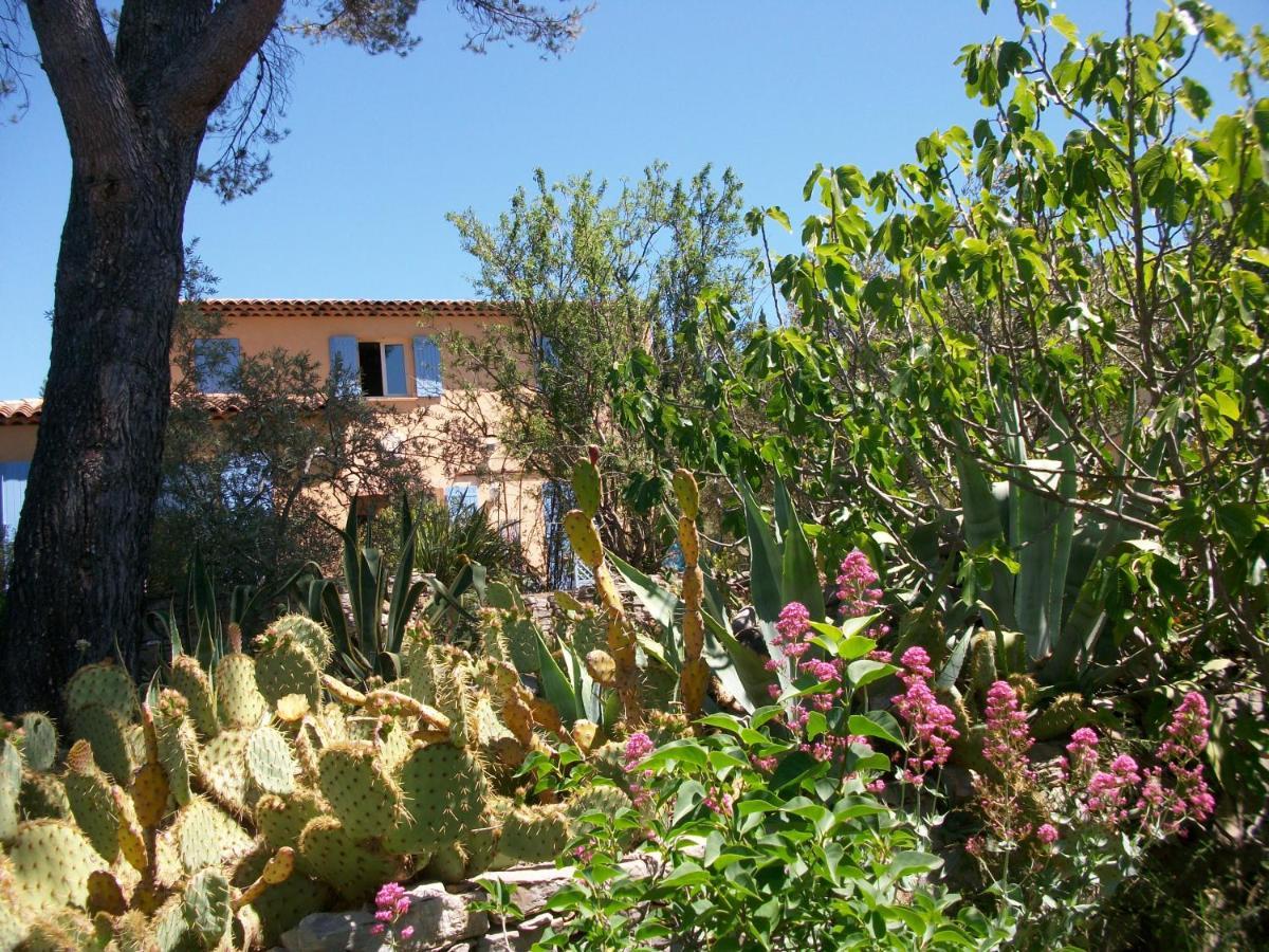 Bed and Breakfast Les Chardons Bleus Lorgues Esterno foto