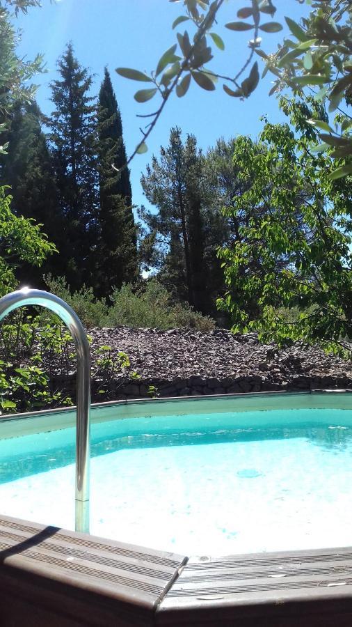 Bed and Breakfast Les Chardons Bleus Lorgues Esterno foto