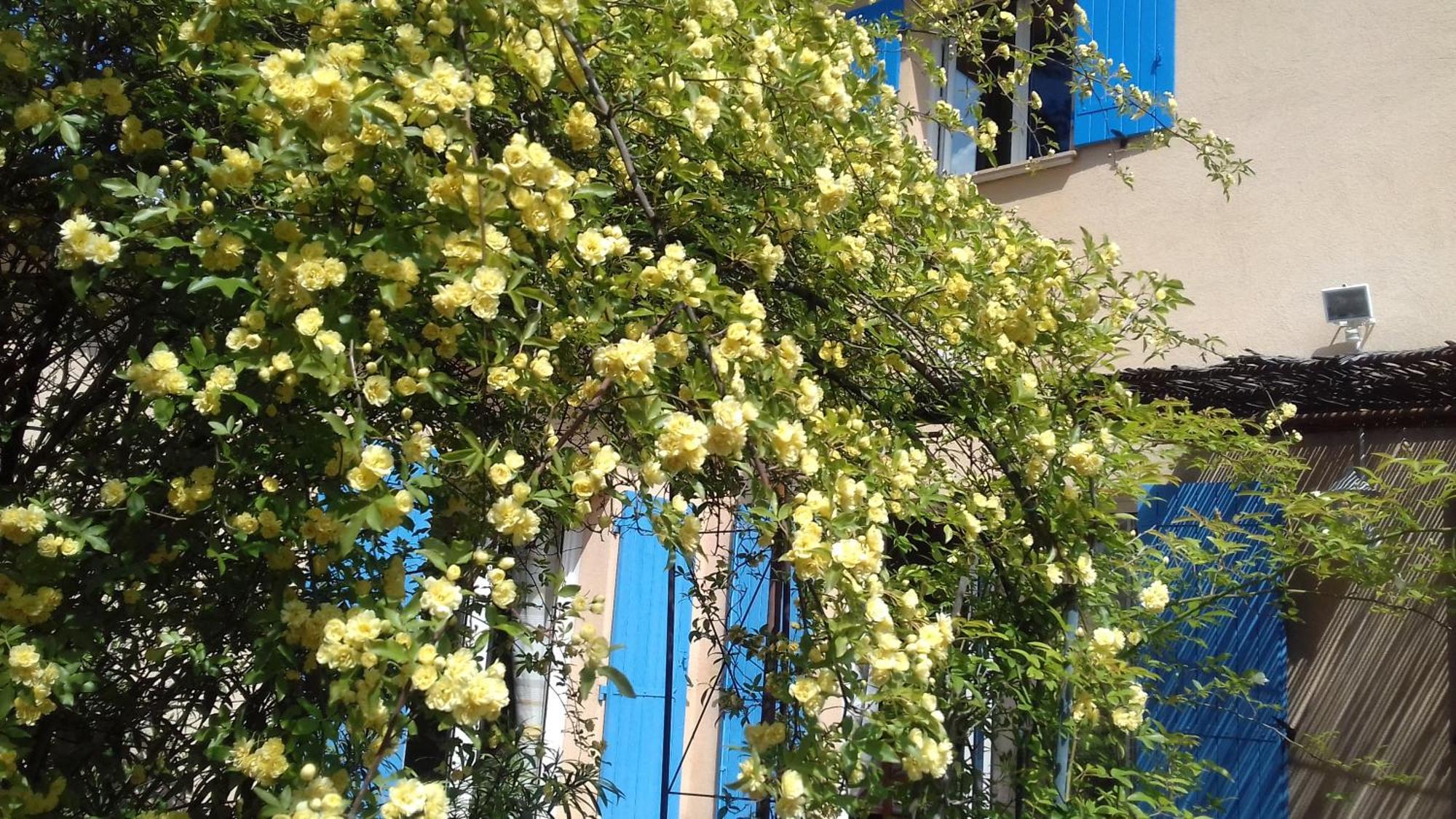 Bed and Breakfast Les Chardons Bleus Lorgues Esterno foto