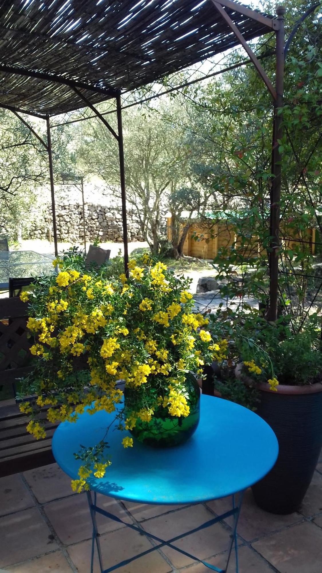 Bed and Breakfast Les Chardons Bleus Lorgues Esterno foto