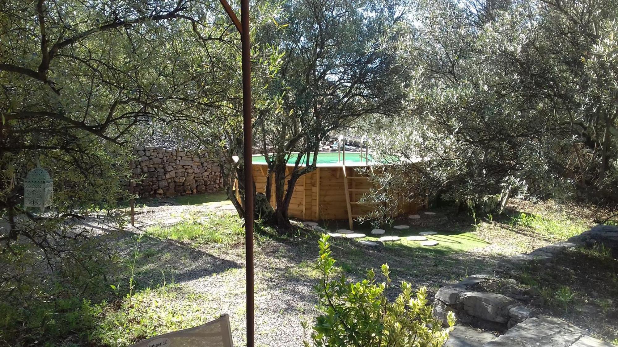 Bed and Breakfast Les Chardons Bleus Lorgues Esterno foto